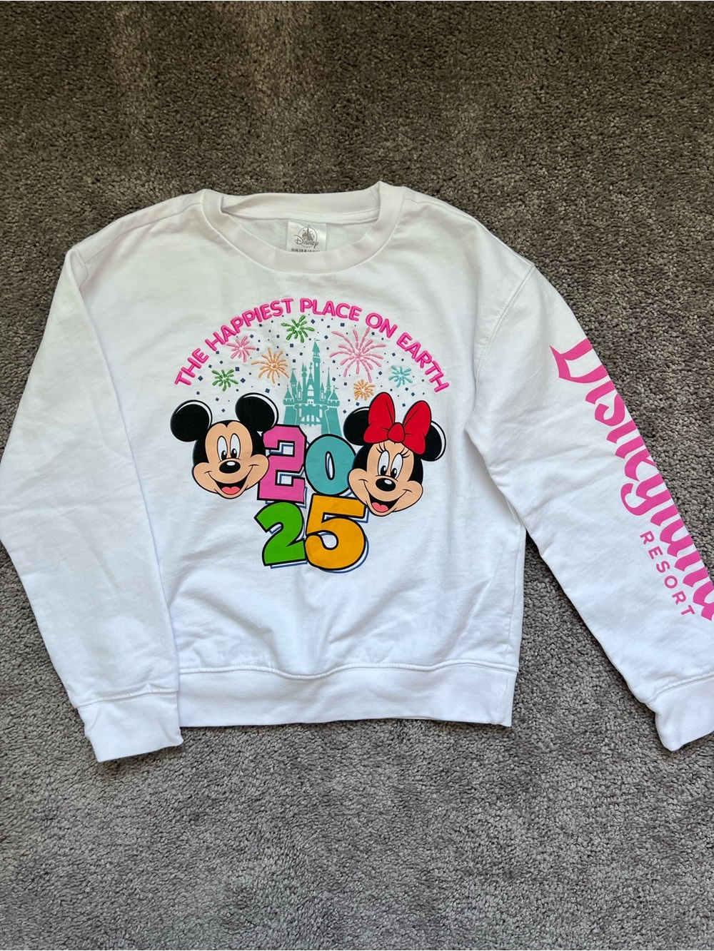 Disneyland Resort 2025 Sweatshirt